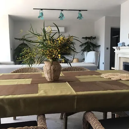 Begon-Villa Panora فيلة فتحية
