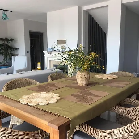 Begon-Villa Panora فيلة فتحية